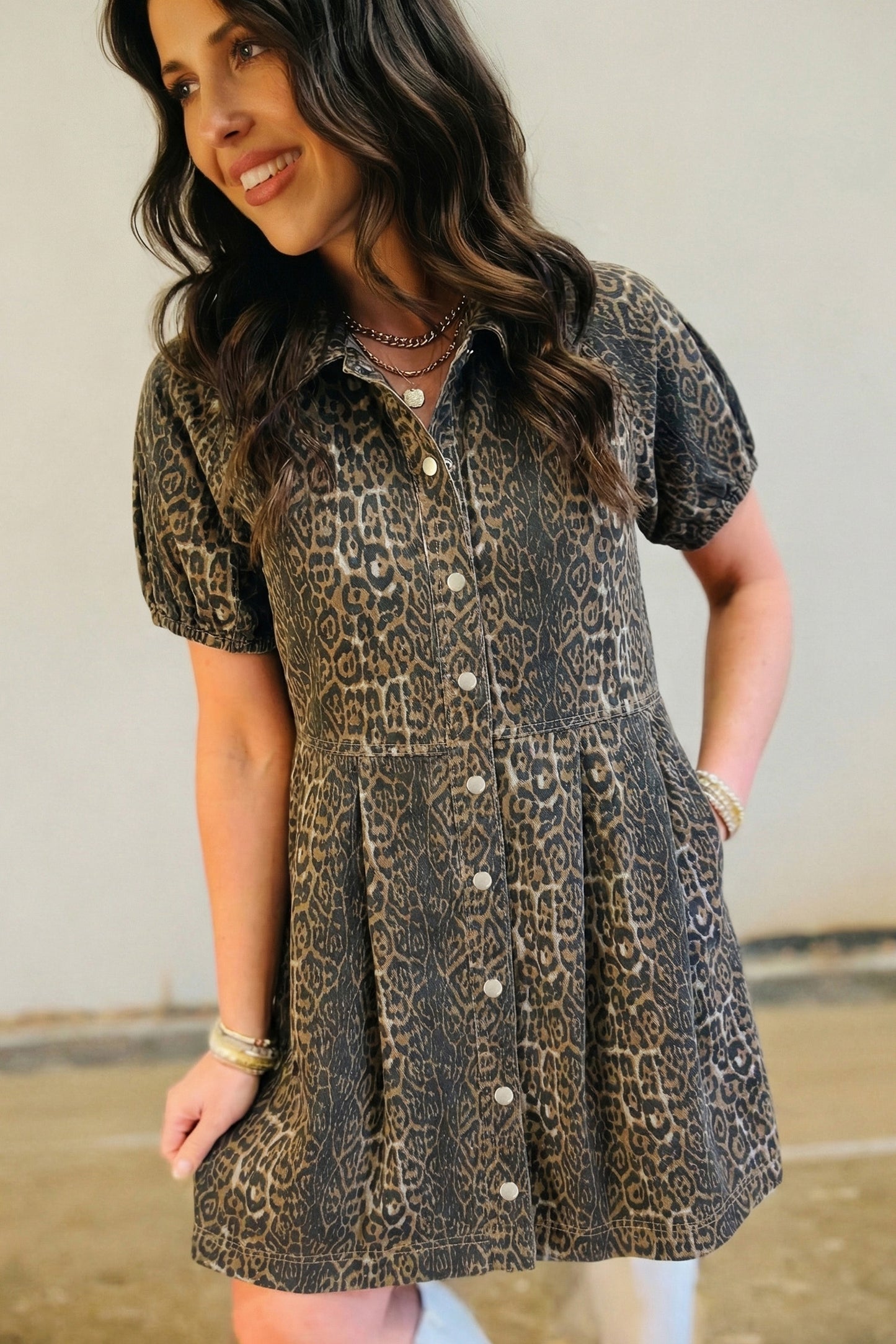 Hear Me Roar Denim Dress