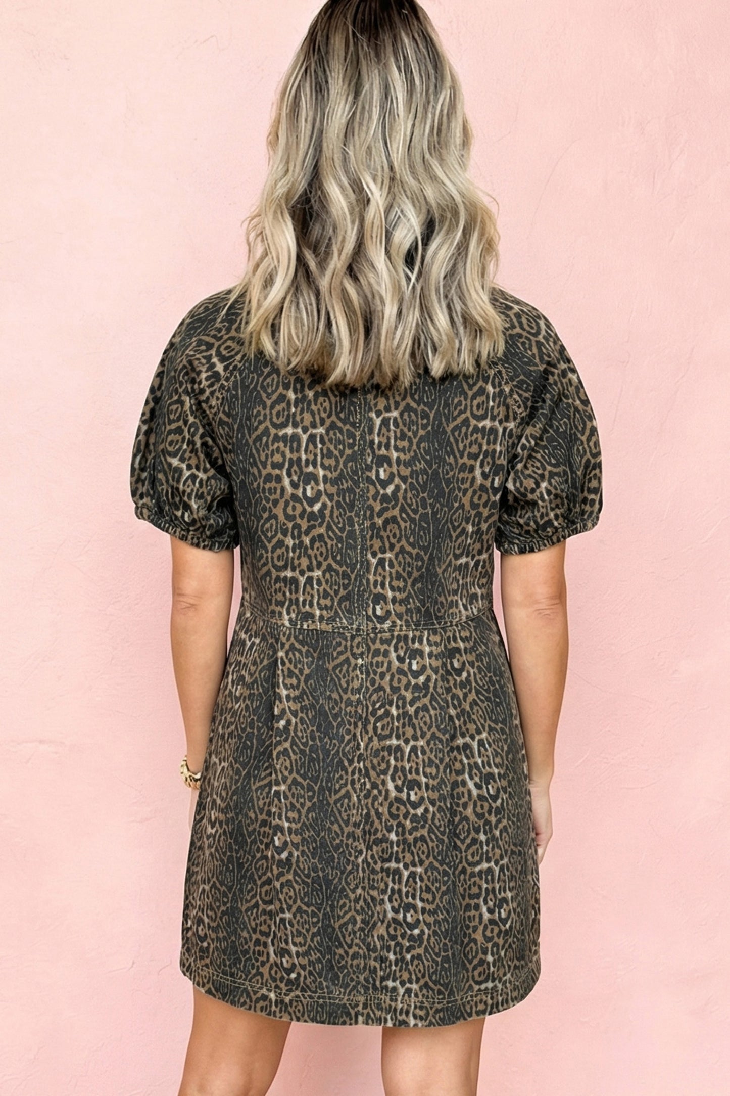 Hear Me Roar Denim Dress