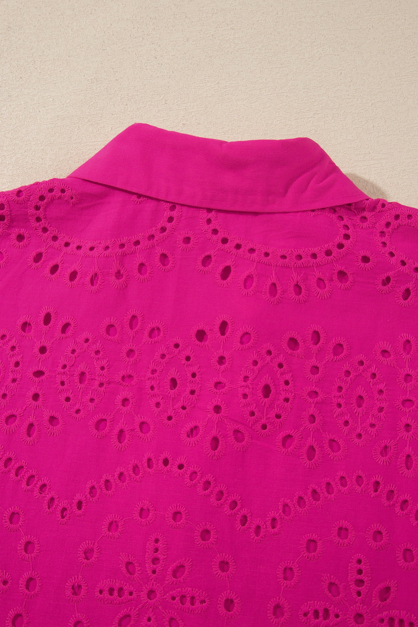 Eyelet Elegance Collared Mini Dress
